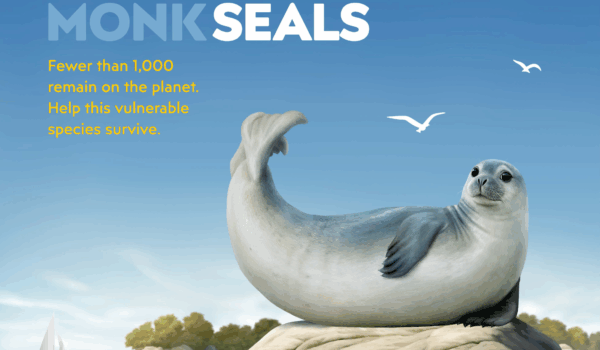 SEAL GREECE Οι σημαντικότεροι σταθμοί της εκστρατείας μέχρι σήμερα!