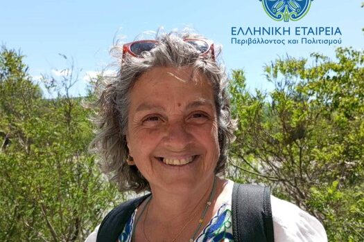 Νίκη Κεφαλά (ΕΛΛΕΤ): «Η Νάξος σε κομβικό σημείο – Βιώσιμη ανάπτυξη, Ειδικό Πολεοδομικό Σχέδιο και προστασία της ταυτότητας του νησιού»