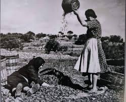 Ε.Α.Σ. Νάξου: Τιμά τις αγρότισσες και την προσφορά τους στην κοινωνία και οικονομία