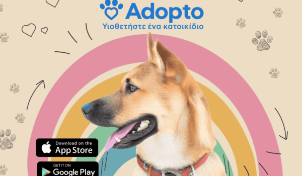 Το adopto.gr φέρνει μια νέα εποχή στη φιλοζωία στην Ελλάδα