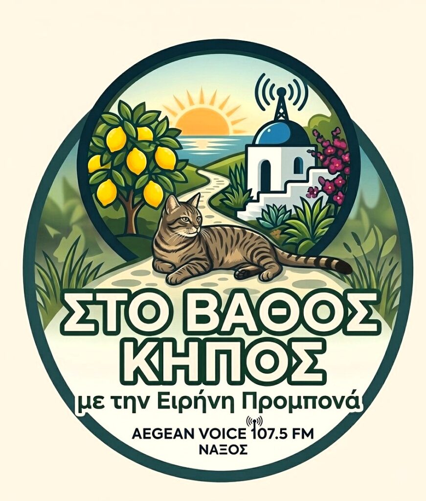 Λίθινοι αναβαθμοί στα νησιωτικά ρέματα: Παράδοση & κλιματική ανθεκτικότητα...