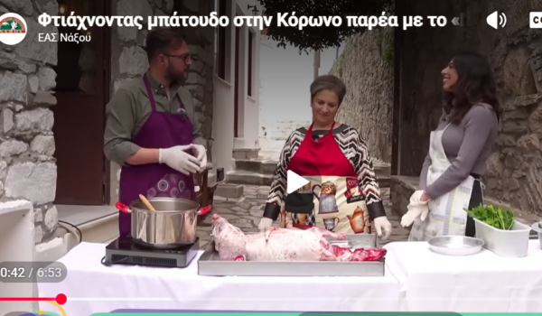 Η Ε.Α.Σ. Νάξου έφερε ξανά τη Νάξο σε κάθε ελληνικό σπίτι!