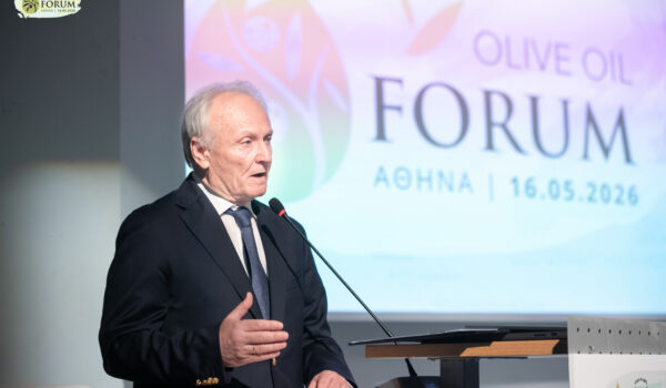 OLIVE OIL FORUM 2026