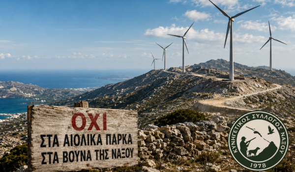 ΨΗΦΙΣΜΑ ΔΙΑΜΑΡΤΥΡΙΑΣ ΚΑΤΑ ΤΩΝ ΑΙΟΛΙΚΩΝ ΠΑΡΚΩΝ
