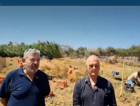 Ε.Α.Σ. Νάξου: Έρχεται η 17η Γιορτή Πατάτας Νάξου!