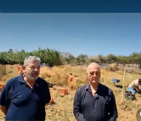 Ε.Α.Σ. Νάξου: Έρχεται η 17η Γιορτή Πατάτας Νάξου!