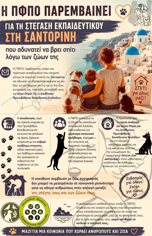 Η ΠΦΠΟ παρεμβαίνει για τη στέγαση εκπαιδευτικού στη Σαντορίνη που αδυνατεί να βρει σπίτι λόγω των ζώων της