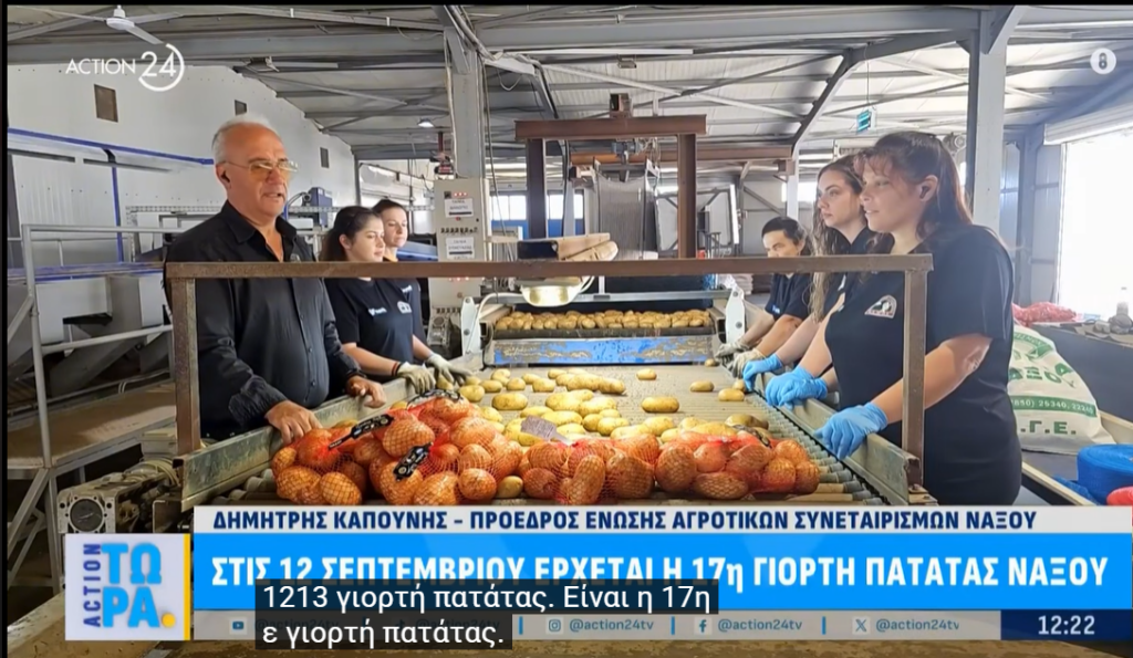 Ε.Α.Σ. Νάξου: Πυρετώδεις προετοιμασίες για τη 17η Γιορτή Πατάτας Νάξου!